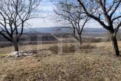 Teren de 20000 mp, în Central - 4