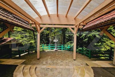 Casa in zona Trei Brazi,Predeal - 16