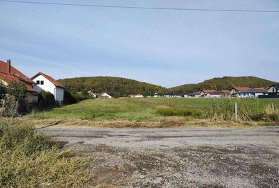 4300 mp - Teren intravilan Reghin , la iesirea spre Dedrad - 2