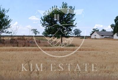 Ferma Pantelimon 10 hectare - 6