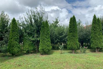 LUX Vila, pozitionare Premium, conditii apreciabile:Tur Virt - 13