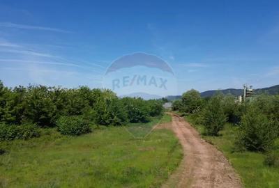 Teren de 11533 mp, în Merișor - 4