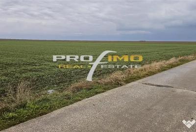 Teren de 4200 mp, în Corbu - 1