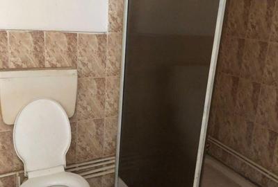 Spațiu comercial, de 150 mp, în Sebastian