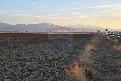 Teren agricol intravilan de 30000 mp, în Nord - 13