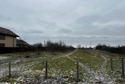 Teren de 10000 mp, în Coșoveni - 2