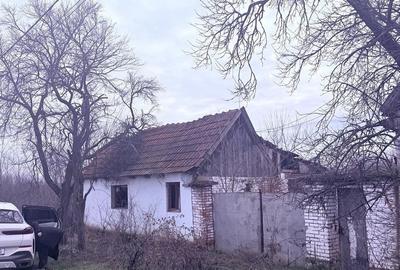 Casă cu Teren 1388 Mp în Răpsig - 3