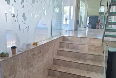 Spațiu comercial, de 180 mp, în Grivița - 12