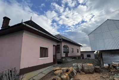 Teren de 24000 mp, în Nucșoara - 2