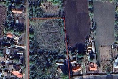 Teren de 4600 mp, în Botoroaga - 6