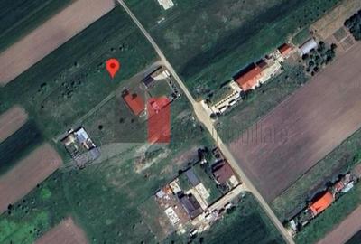 Teren agricol intravilan de 1682 mp, în Cosoba - 2