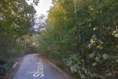 Teren de 274384 mp, în Central