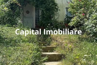 Casa Baicoi 95 mp Sc, 2578 mp teren - 6