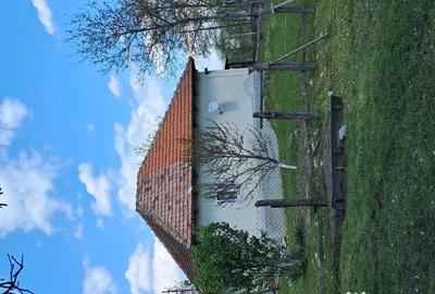 Teren de 10000 mp, în Tomșani - 3