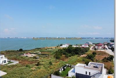 Anunturi vanzari terenuri in Palazu Mare - 1