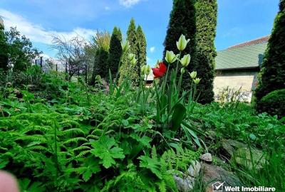 Casa 5 cam., 300 mp, crama, gradina, iaz, aer curat, liniste,  cartier Gruia - 34