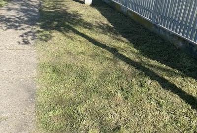 Casă cu 2 camere în Pogana - 4