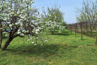 Casa Lunca,judetul Bihor - 4