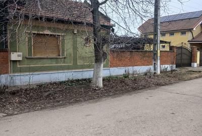 Casă cu 4 camere cu Teren 3767 Mp în Borș - 14