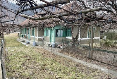 Casă cu 2 camere cu Teren 1695 Mp în Văleni - 4