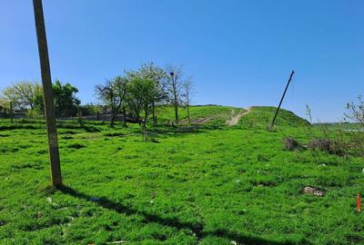 Teren de 1000 mp, în Sultana - 8