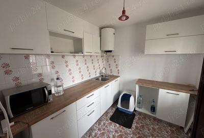 Vand casa La 15 km de Timisoara - 4