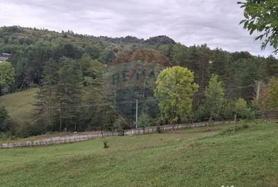 Teren de 4000 mp, în Moroeni - 3