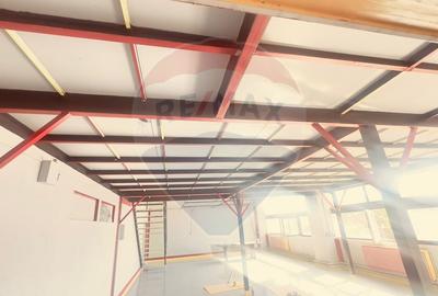 DE INCHIRIAT Spatiu comercial de 120-480 mp in zona Bucurestii Noi - 5