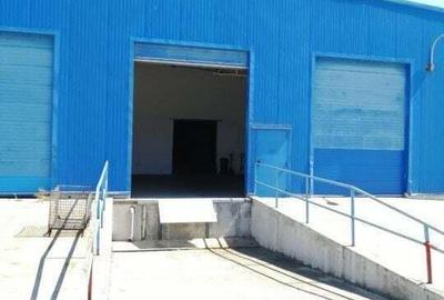 Spațiu comercial, de 2,500 mp, în Chiajna - 7