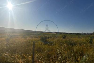 Teren de 51000 mp, în Central