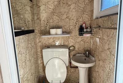 Vand casa Filia?i - 10