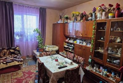 Casă în Pustiniș - 6