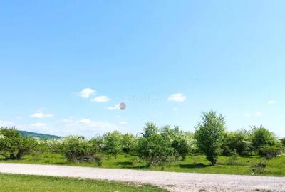 Teren de 1333 mp, în Sânpetru - 5