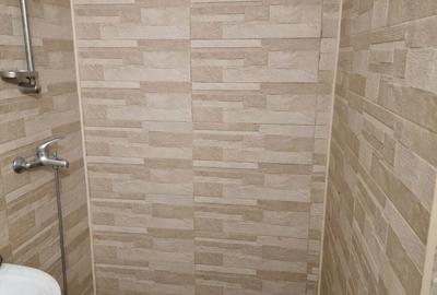 Spațiu comercial, de 36 mp, în Elisabetin - 4