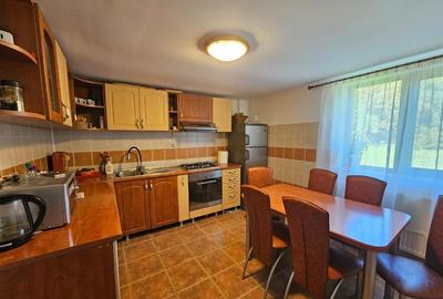 Vila Vetel zona Valea Caoi - 11