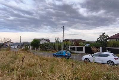 Teren de 10000 mp, în Păulești - 3