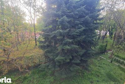 Apartament cu 3 camere, mobilat în Pajura - 2