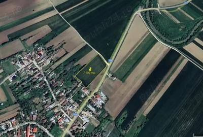 Teren de 7500 mp, în Trestieni - 1