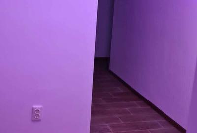Casă cu 2 camere în Corlata - 3
