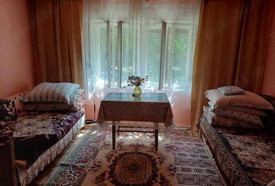 Casa de vacan?a de vinzare in satul Moceris ,Comuna Lapusnicul Mare - 10