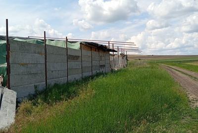 Spațiu comercial, în Copăceni - 3