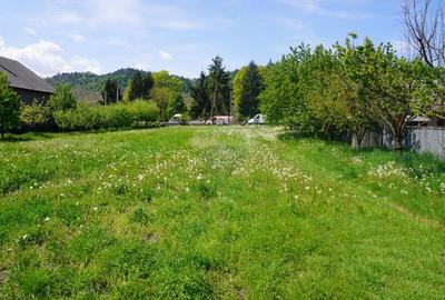 Teren Construcții intravilan de 4076 mp, în Sarasău - 15