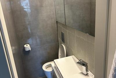 Inchiriere Penthouse Lux langa padure, Iancu Nicolae - 25