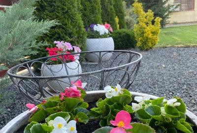 Vand casa in Giroc centru - 4