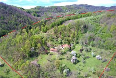 Domeniu de 7 ha in Apuseni - Criscior, Hunedoara - 2