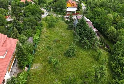 Breaza de Sus - Gura Beliei - teren cu vedere spre munte - 9