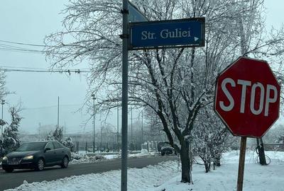 Crevedia - sat Samurcasi- str.Ernest Maftei, teren 5958 mp - 8