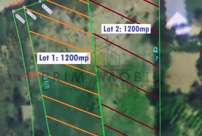 Teren in Goruni comuna Tomesti 12 km de rond Podu Ros - 1200 mp - 1