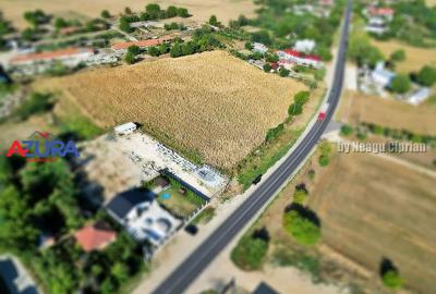 Teren Construcții intravilan de 7976 mp, în Crângurile - 19