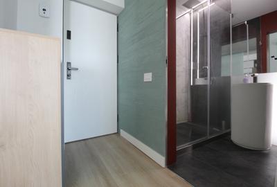 Piata Alba Iulia - Bd. Burebista - bloc mixt - studio complet renovat - 14